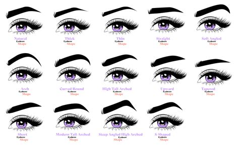 pictures of different eyebrow shapes.